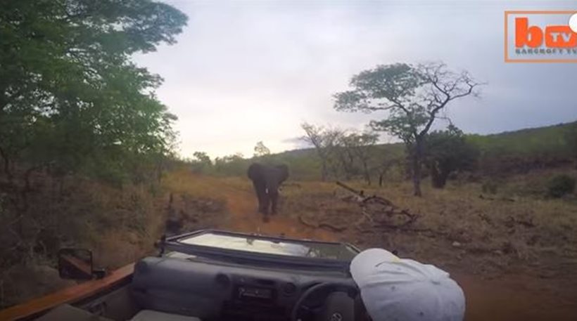 Στιγμές τρόμου – Εξαγριωμένος ελέφαντας κυνηγάει τηλεοπτικό συνεργείο στην Αφρική [βίντεο]